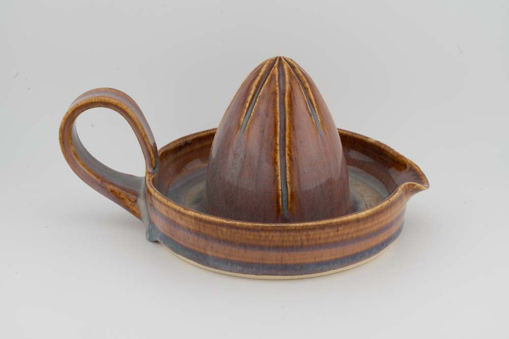 Citrus Juicer