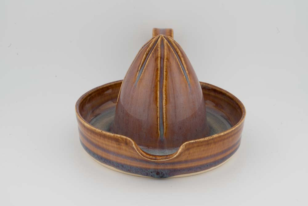 Citrus Juicer