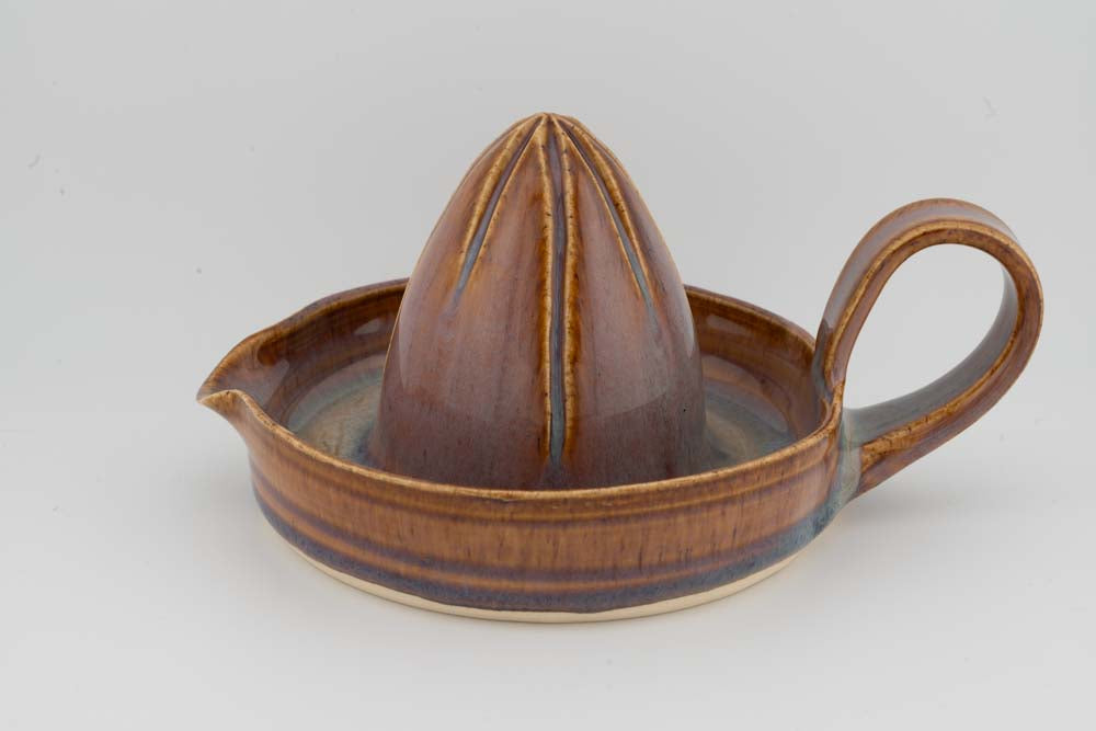 Citrus Juicer
