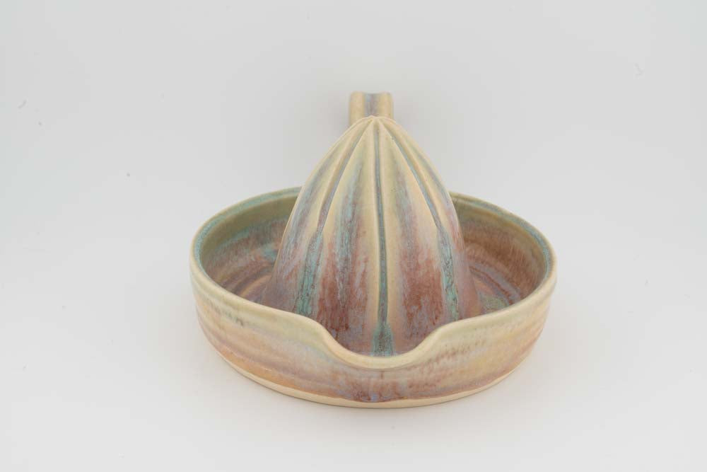 Citrus Juicer