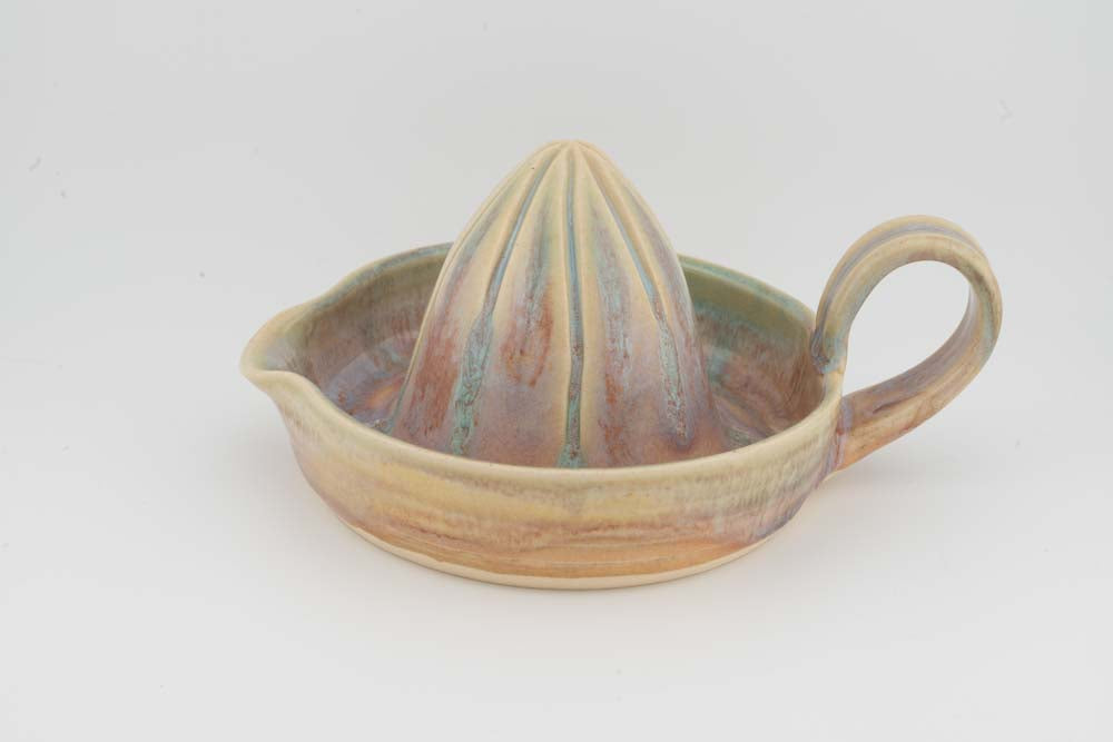 Citrus Juicer