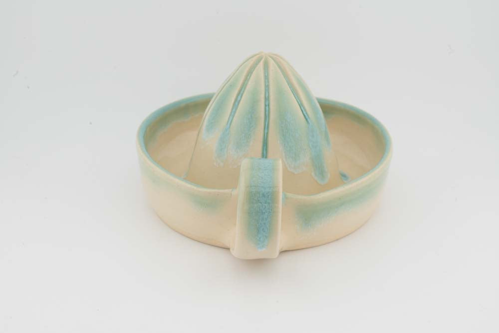 Citrus Juicer