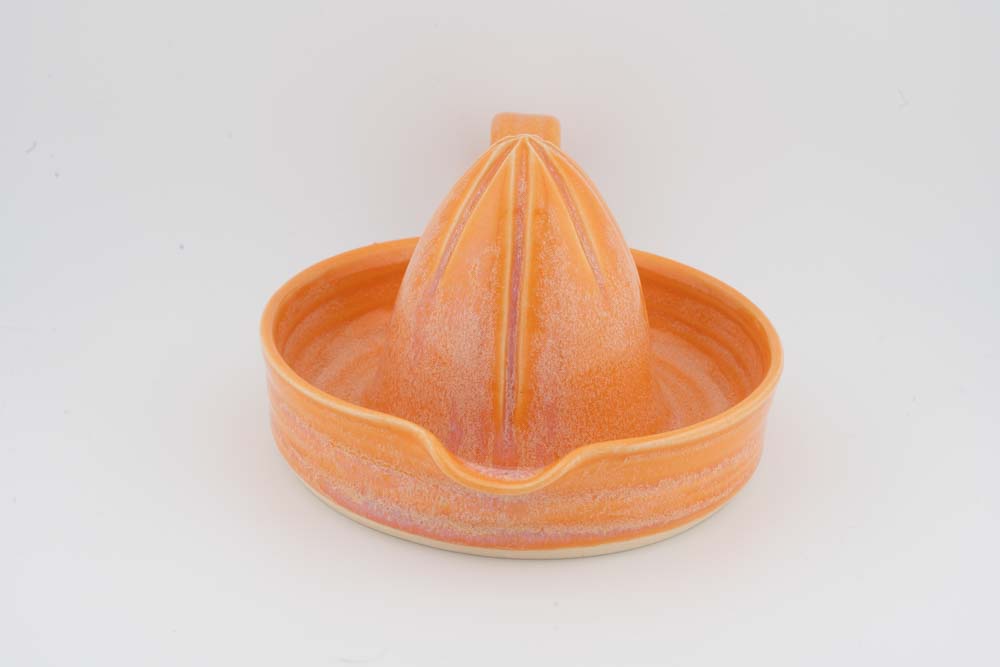 Citrus Juicer