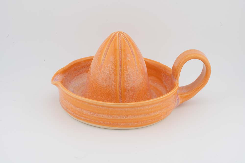 Citrus Juicer