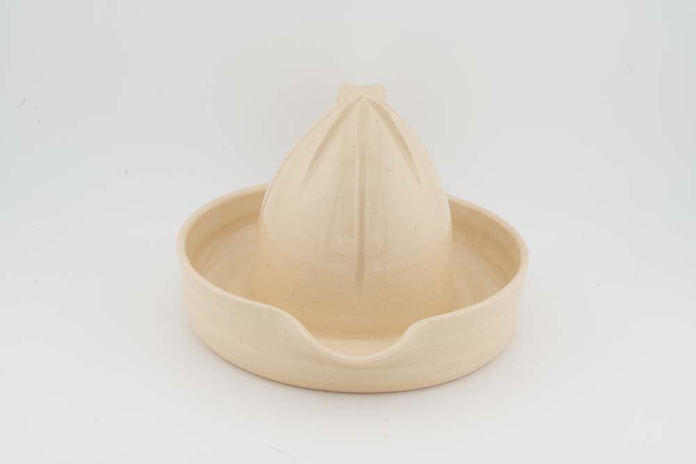 Citrus Juicer