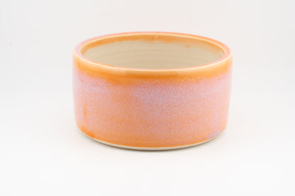 Dog Bowl