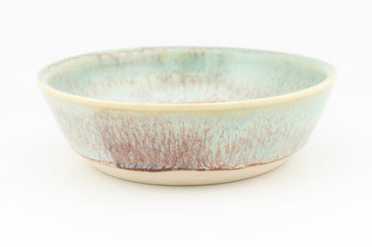 Cat Dish