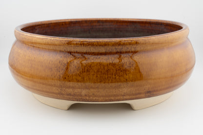 Bonsai Pot