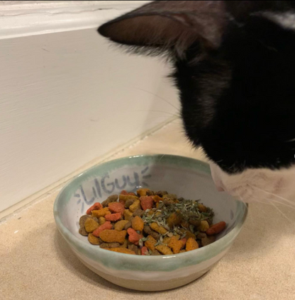 Custom Name Cat Dish