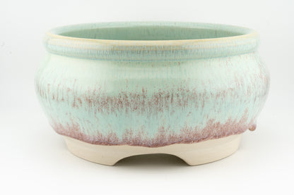 Bonsai Pot