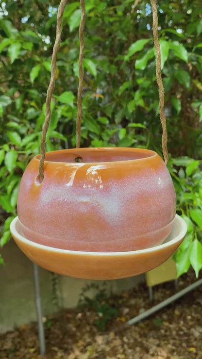 Hanging Planter, 5" or 7" wide